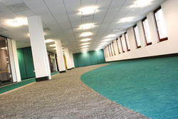 Commercial Carpet Cleaning Oahu