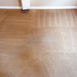 Carpet Cleaning Kaneohe