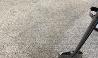 Freshly cleaned residential carpet