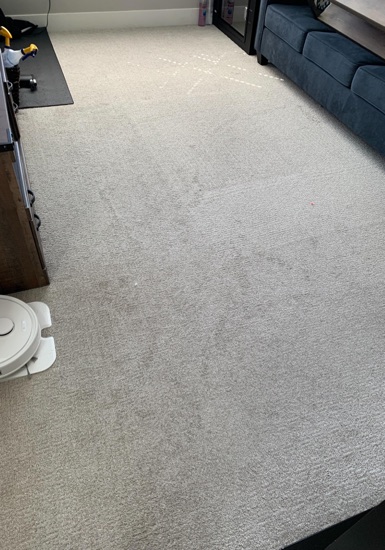 Residential Carpet Refresh carpet cleaning, photo 2