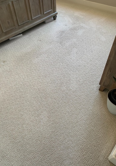 Residential Carpet Refresh carpet cleaning, photo 4