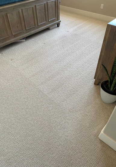 Residential Carpet Refresh carpet cleaning, photo 5