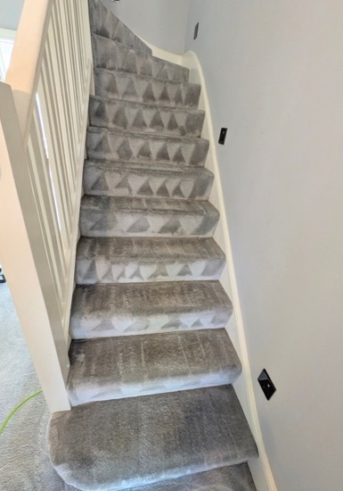 Multi-Room Carpet Refresh carpet cleaning, photo 4