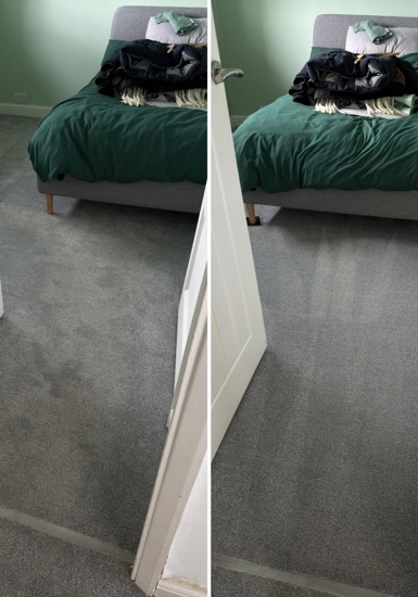 Deep-Clean & Drying Detail carpet cleaning, photo 4