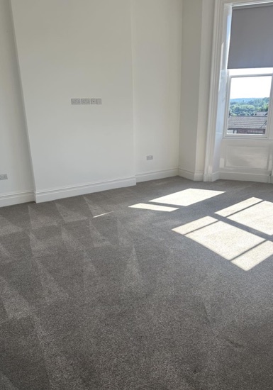 Move-Out Carpet Care carpet cleaning, photo 3