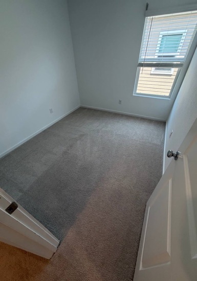 Whole-Room Carpet Cleaning carpet cleaning, photo 3