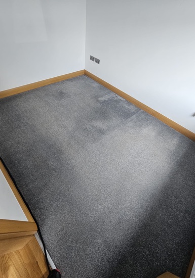 Residential Fiber Refresh carpet cleaning, photo 2