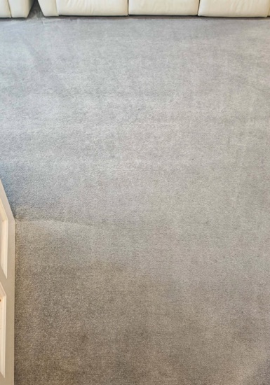 High-Traffic Carpet Reset carpet cleaning, photo 7