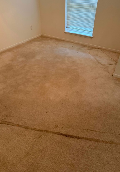 Fresh-Finish Carpet Cleaning carpet cleaning, photo 2