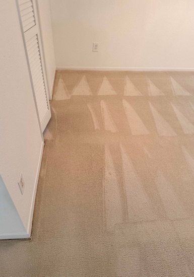 Fresh-Finish Carpet Cleaning carpet cleaning, photo 4