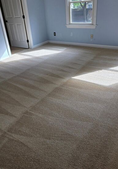 Rental Turnover Carpet Care carpet cleaning, photo 1