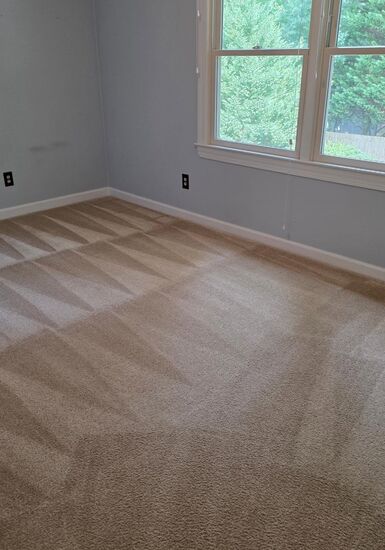 Rental Turnover Carpet Care carpet cleaning, photo 2