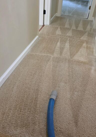 Rental Turnover Carpet Care carpet cleaning, photo 4