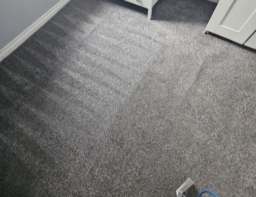 Professional carpet cleaning process